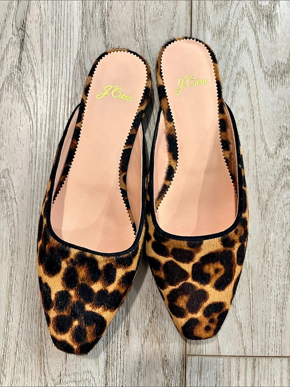 J. Crew Leopard Print Mules Like New